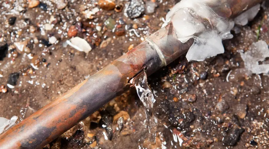 _Frozen Pipes